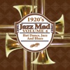 Jazz Mad, Vol. 4: 1920s Hot Dance, Jazz and Blues