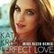 Perfect Love (Mike Rizzo Remix) artwork