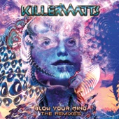 Blow Your Mind the Remixes artwork