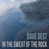 Dave Dest - Here I Go Again on My Own