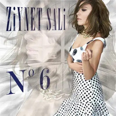 No.6 - Ziynet Sali