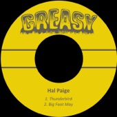 Hal Paige - Thunderbird