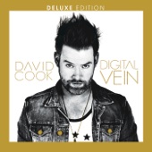Digital Vein  cover