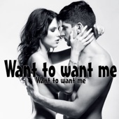 Want to Want Me (Karaoke Version) artwork