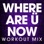 Where Are Ü Now (Workout Mix)
