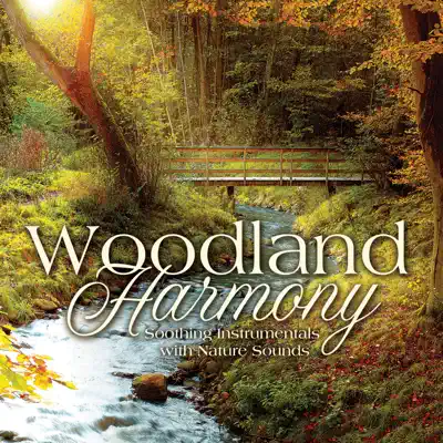 Woodland Harmony - Steve Wingfield