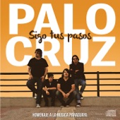 Palo Cruz - Paraguaya Linda (Versión moderna)
