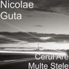 Cerul Are Multe Stele - Single