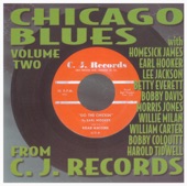 Chicago Blues, Vol. 2