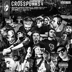 Crosspunks 2 by Sinister Souls, Synthakt, Hardlogik, Erre, BSA, Infamous, Ogonek, Freqax, Brainpain, YMB, Proton Kid & MathizM album reviews, ratings, credits