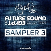 Future Sound of Egypt, Vol. 3 - Sampler 3 artwork