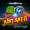 Just say it (Acoustic) - Single album lyrics, reviews, download