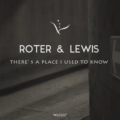 There's a Place I Used to Know - Single - Lewis