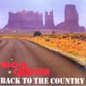 Back To the Country artwork