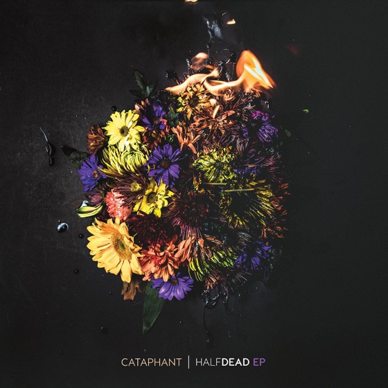 Cover artwork for Half Dead (feat. J Givens)