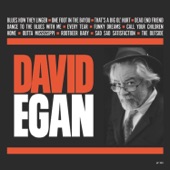 David Egan - One Foot in the Bayou