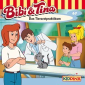 Folge 67 - Bibi und Tina: Das Tierarztpraktikum artwork