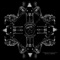 Idgas - Foreign Allegiance lyrics