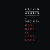 Calvin Harris & Disciples - How Deep is Your Love