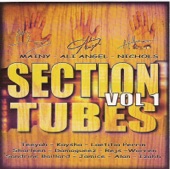Section tubes zouk, Vol. 1