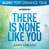 There Is None Like You (Audio Performance Trax) - EP artwork