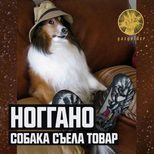 Собака съела товар - Single