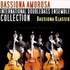 Bassiona Amorosa - Karneval der Tiere: XIII. Der Schwan