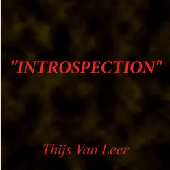 Introspection - Thijs van Leer Introspection - Thijs van Leer