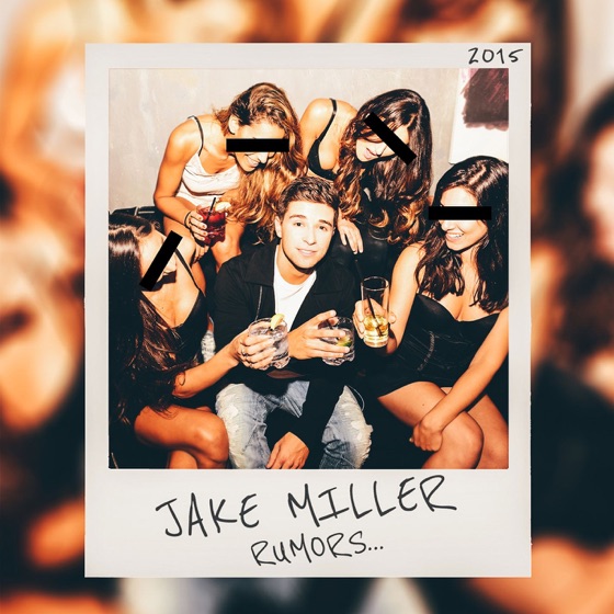 Cover artwork for Shake It
