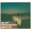 Missing You - EP