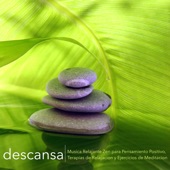 Descansa - Música Relajante Zen para Pensamiento Positivo, Terapias de Relajacion y Ejercicios de Meditación artwork
