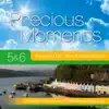 Precious Moments 5 & 6 album lyrics, reviews, download