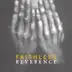 Reverence / Irreverence album cover