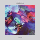 Leon Lowman - Fluorescent Funk