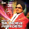 Best of Silinder Pardesi