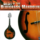 Best of the Bluegrass Mandolin - Various Artists