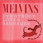 Melvins - In Every Dream Home a Heartache