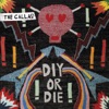 DIY Or DIE artwork