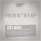 From Within (JR From Dallas Ghetto Remix) - Joss Moog lyrics