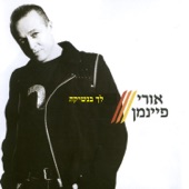 חלום בתוך חלום artwork