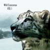 Wild Essence - EP
