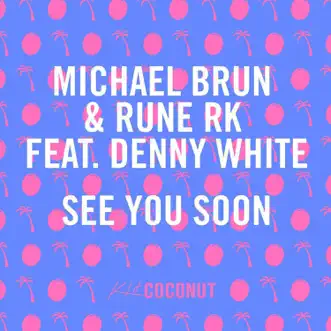 See You Soon (feat. Denny White) by Michael Brun & Rune RK song reviws