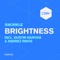 Brightness - Snorkle lyrics