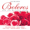 Los Mejores Boleros Con las Mejores Voces, 2010