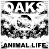 Animal Life