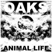 Oaks - List for the Desert