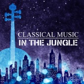 Classical Music in the Jungle artwork