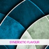 Synergetic Flavour, 2015