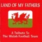 Men of Harlech (Dance Version) - Native Intelligence lyrics
