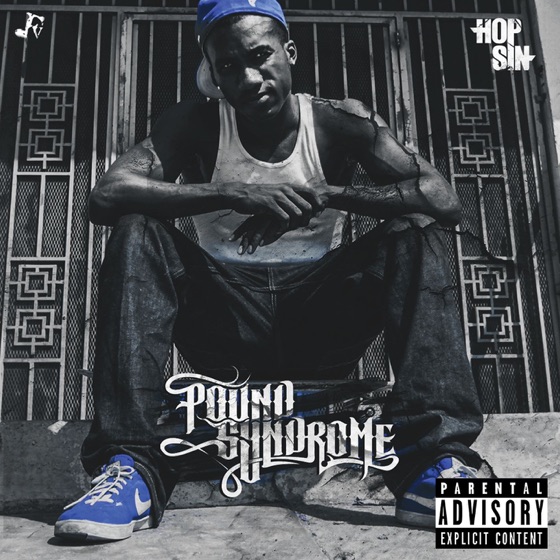 Cover artwork for Fly